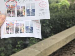-雨花胜境