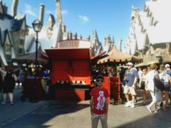 -The Wizarding World of Harry Potter - Hogsmeade