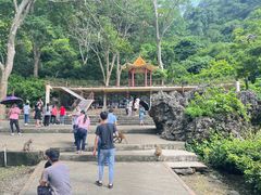 -广西龙虎山风景区