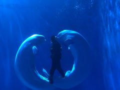 -多彩贵州城极地海洋世界