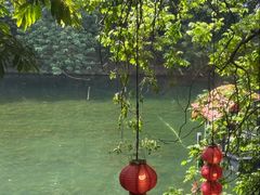 -侨美·唐荔园·40年地道粤菜