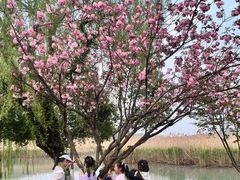 -南北湖风景区