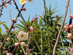 -尽峰攀岩 Acme Climbing