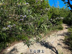 -北京十三陵国家森林公园蟒山景区