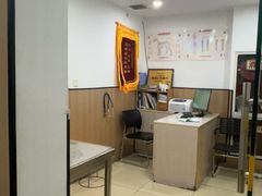 -米苏动物医院·犬猫专科·骨科外科内窥镜