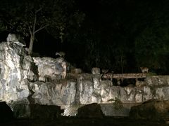 -清迈夜间动物园