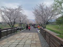 -长田漾湿地公园