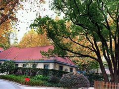 -徐家汇源景区-衡山公园