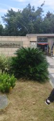 -莲生母婴月子中心(清水河公园店)
