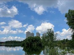 -长白岛森林公园