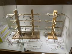 -西南眼镜(飞山街店)
