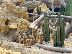 -长鹿旅游休博园
