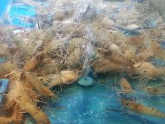 -长沙北辰洲际酒店-兰调全日餐厅