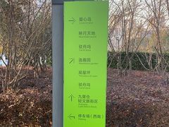 -映月湖中央公园