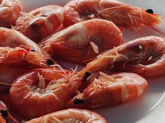 -金銮渔家(东山海鲜地标店)