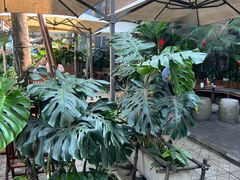 -The Workshop Coffee