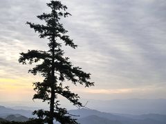 -大围山国家森林公园