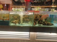 -阿伟海鲜楼·福建菜(延寿店)