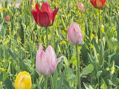 -长春公园(普阳街道)