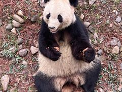 -安吉竹博园