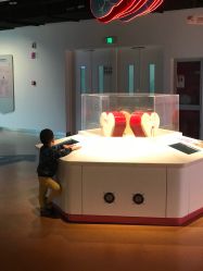 -北京科学中心儿童乐园