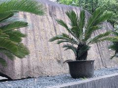 -陈家山荷花公园