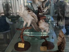 -长岛南北长山旅游景区