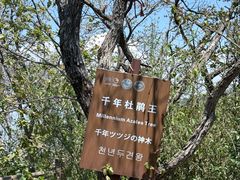 -王顺山国家森林公园