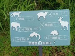 -浙西天池景区