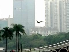 -南宁南湖公园