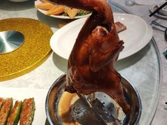 大树头必点招烧鸡-大树头森林餐厅(番禺广场店)