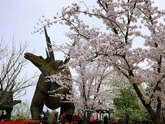 -自然谷恐龙园