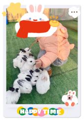 -萌宠亲子动物乐园(槐房万达店)