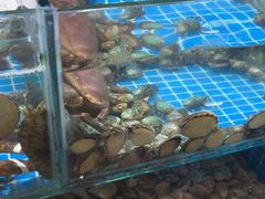 -和源祥·日照菜扛把子(万平口一店)