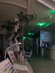 -Mentor Hair Salon