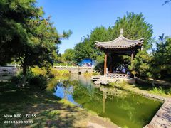 -三里河公园