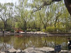 -玲珑塔公园