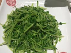 凉拌豆苗-老班长手工灌汤包老店(东山店)