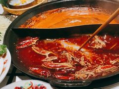 -朱光玉火锅馆(正弘城店)