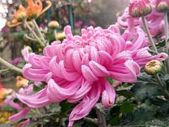 -共青国家森林公园-售票处