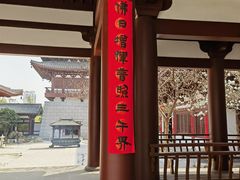 -兴隆文化园景区