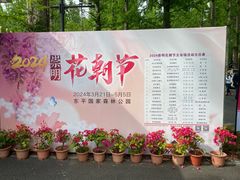 -东平国家森林公园