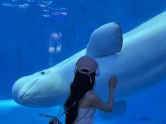 -海合安成都极地海洋公园