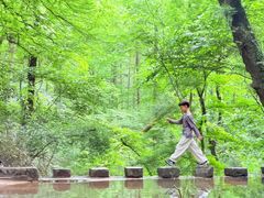 -波尔登森林公园