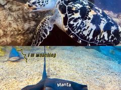 -太平洋海底世界