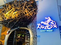 -大灰狼(中心书城店)