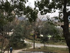 -三江森林温泉度假区