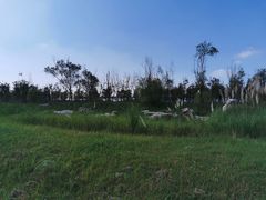 -春花秋色城市公园