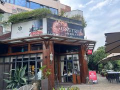 -一棵树·意大利西餐厅One Tree(新城店)