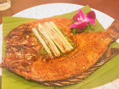 -紫滇源云南生态菜(丹凤街店)